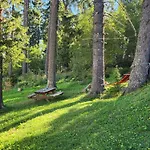 Crosswaybg Pamporovo