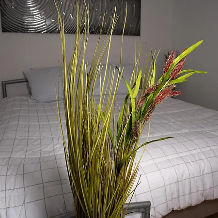 Apartment Crosswaybg *
