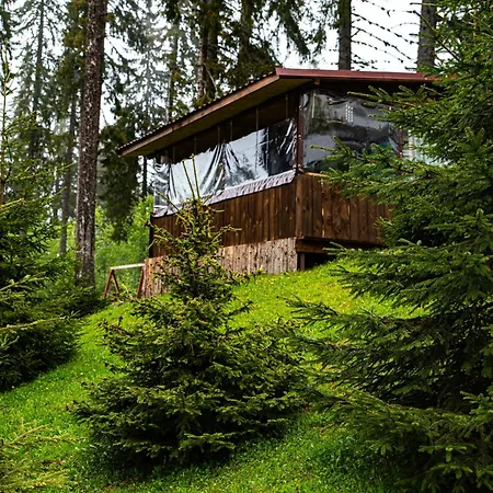 Crosswaybg * Pamporovo