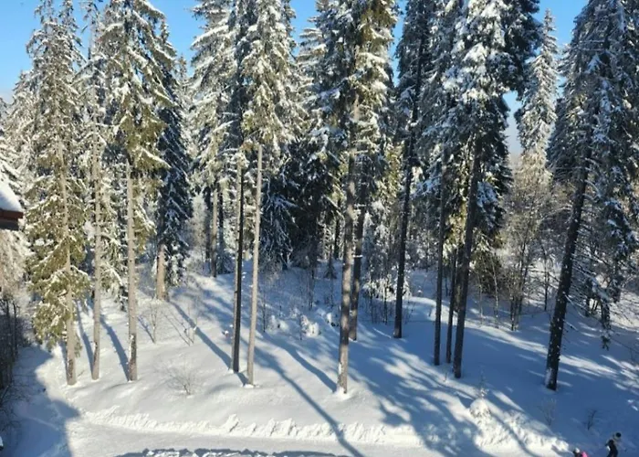 Apartment Crosswaybg *